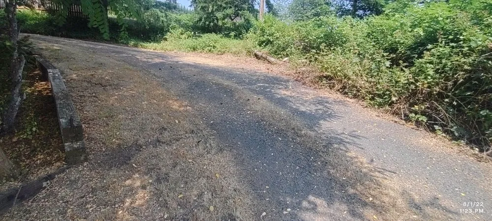 Affordable yard cleanup service in Lebanon, OR - His Holy Gardens Landscaping