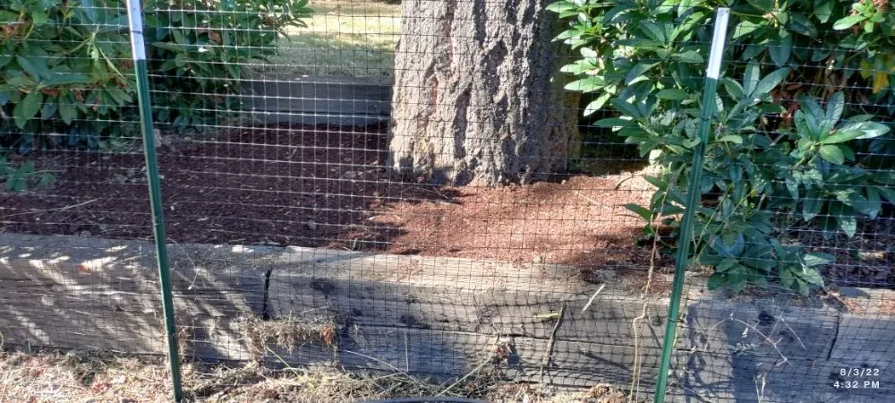 Top-rated outdoor landscaping for residential properties across Lebanon, OR - His Holy Gardens Landscaping