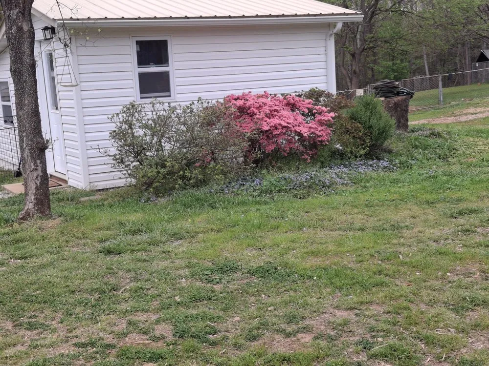 Expert yard cleanup service experts serving Central, SC - His Kingdom Services