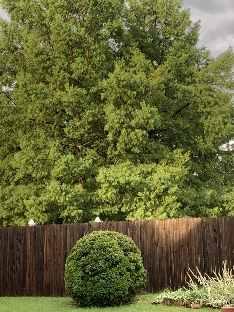 Custom lawn mowing service in Jenks, OK by His Land Mowing & More