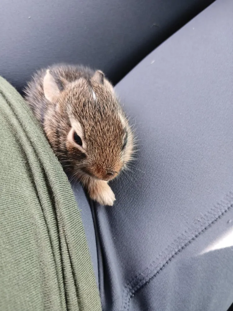 Expert garden landscaping experts serving Jenks, OK - His Land Mowing & More