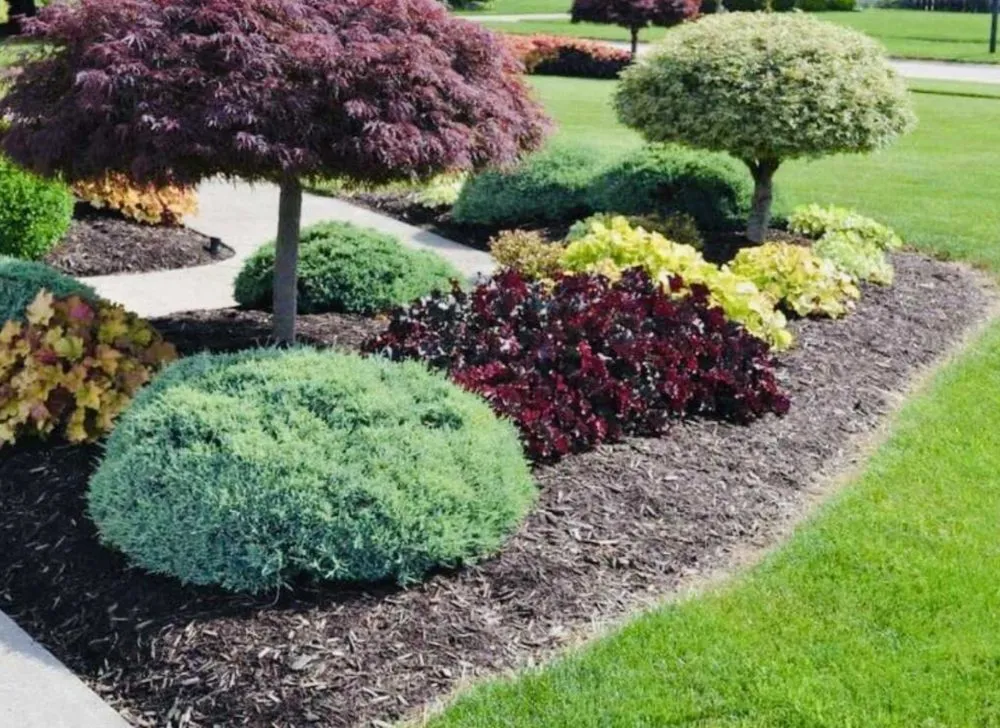 Local lawn care service in Moses Lake, WA by His Majesty Cleaning Service