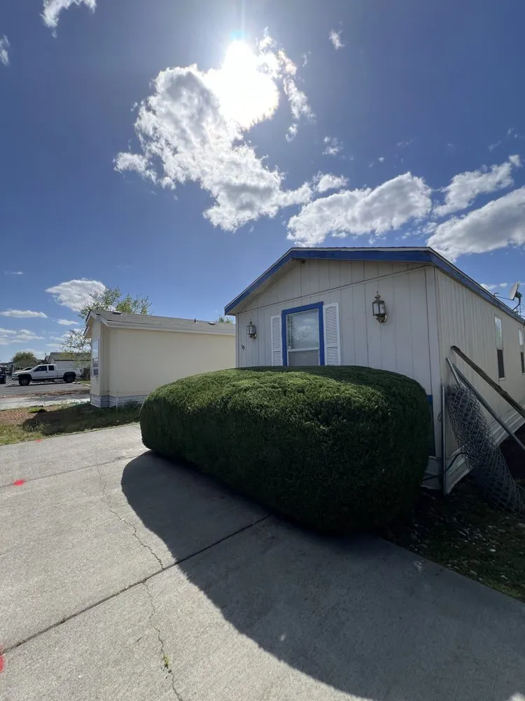 Local lawn care service for outdoor upgrades in Moses Lake, WA by His Majesty Cleaning Service