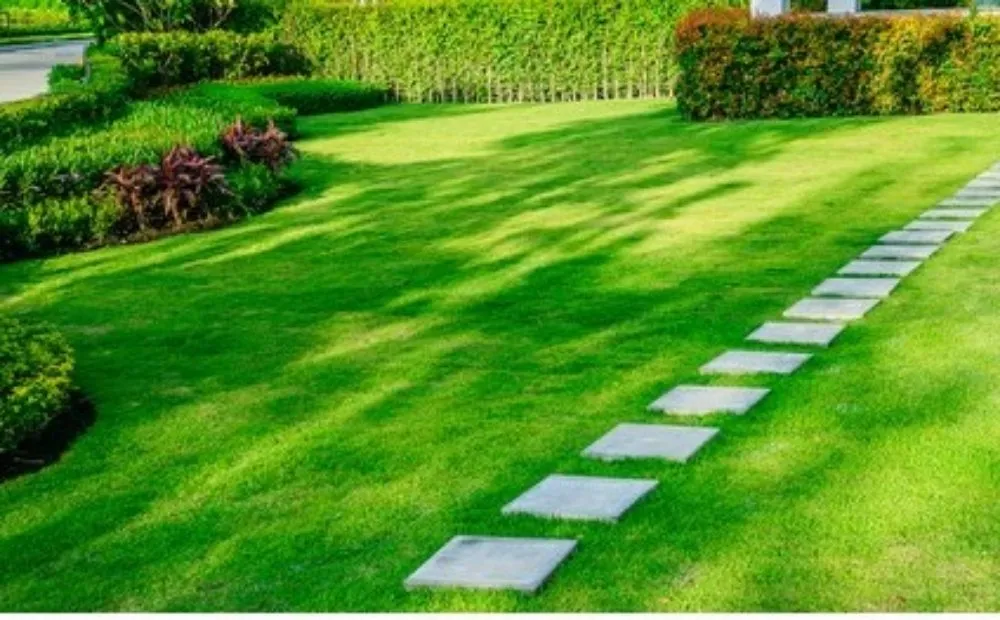 Expert yard maintenance in Columbia, SC - His Work Lawns