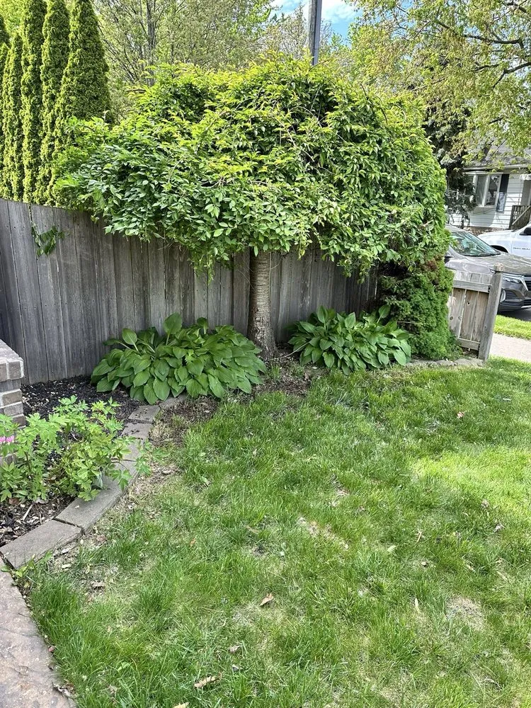 Reliable lawn care service with custom design across Southfield, MI - His Workmanship - Detroit