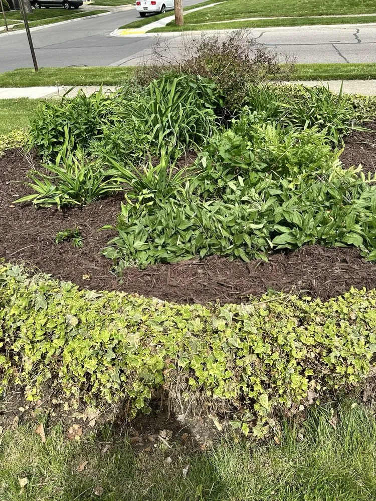 Local yard cleanup service in Southfield, MI by His Workmanship - Detroit