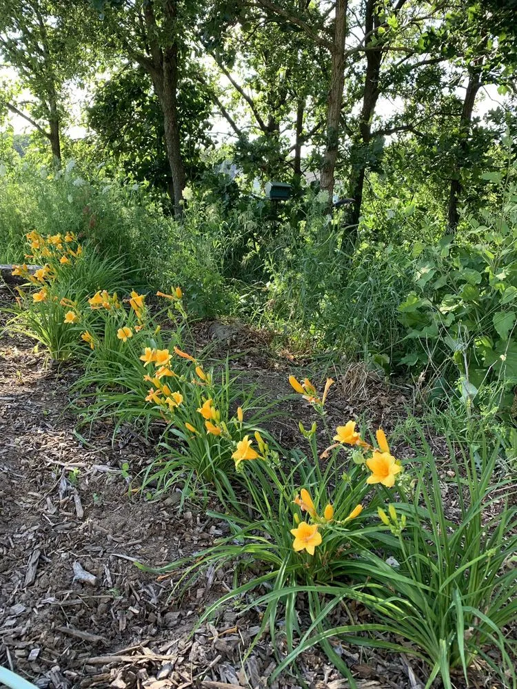 Trusted landscape installation for residential properties in Madison, WI by His Workmanship - Madison