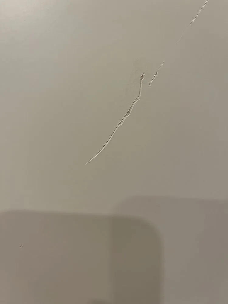 Professional outdoor landscaping in Madison, WI by His Workmanship - Madison