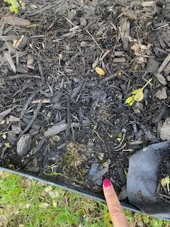 Reliable landscape design experts serving Wheaton, IL - His Workmanship