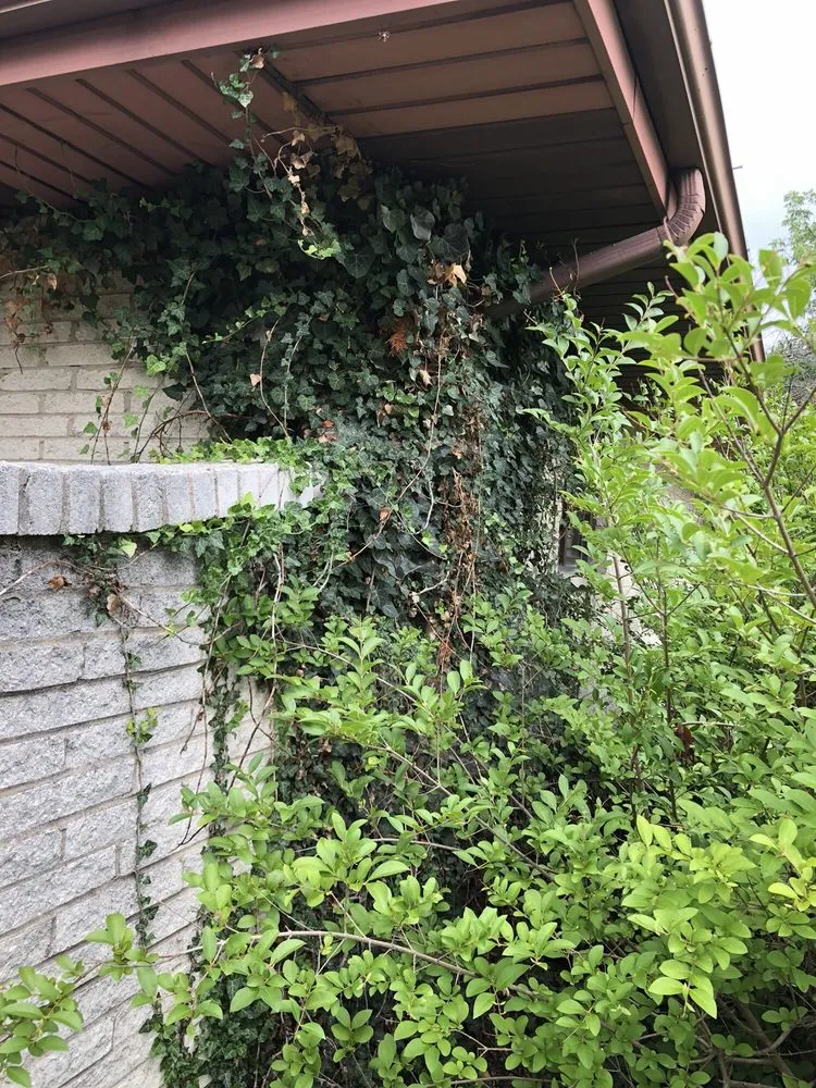 Custom landscaping services in Wheaton, IL by His Workmanship