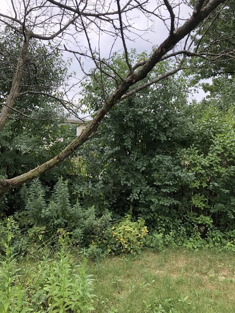 Expert landscaping services in Wheaton, IL by His Workmanship