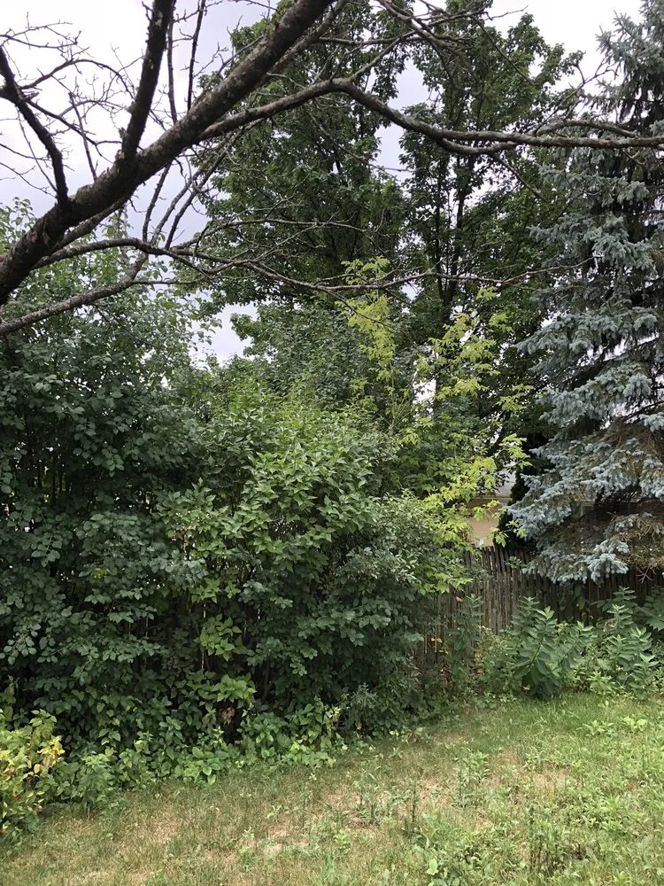 Trusted residential landscaping experts serving Wheaton, IL - His Workmanship