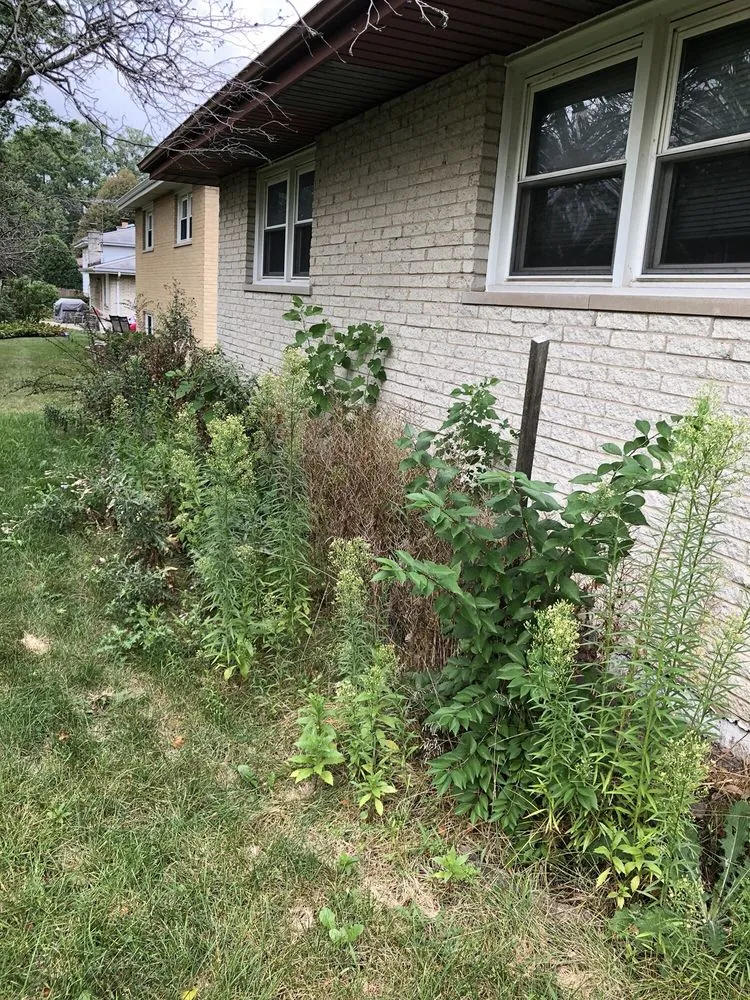 Expert landscape design with custom design in Wheaton, IL by His Workmanship