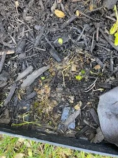 Custom yard cleanup service with custom design in Wheaton, IL by His Workmanship