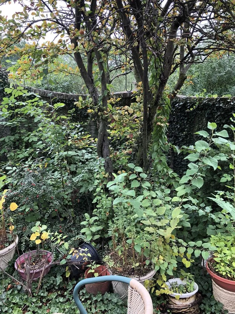 Expert landscape installation for outdoor upgrades across Wheaton, IL - His Workmanship