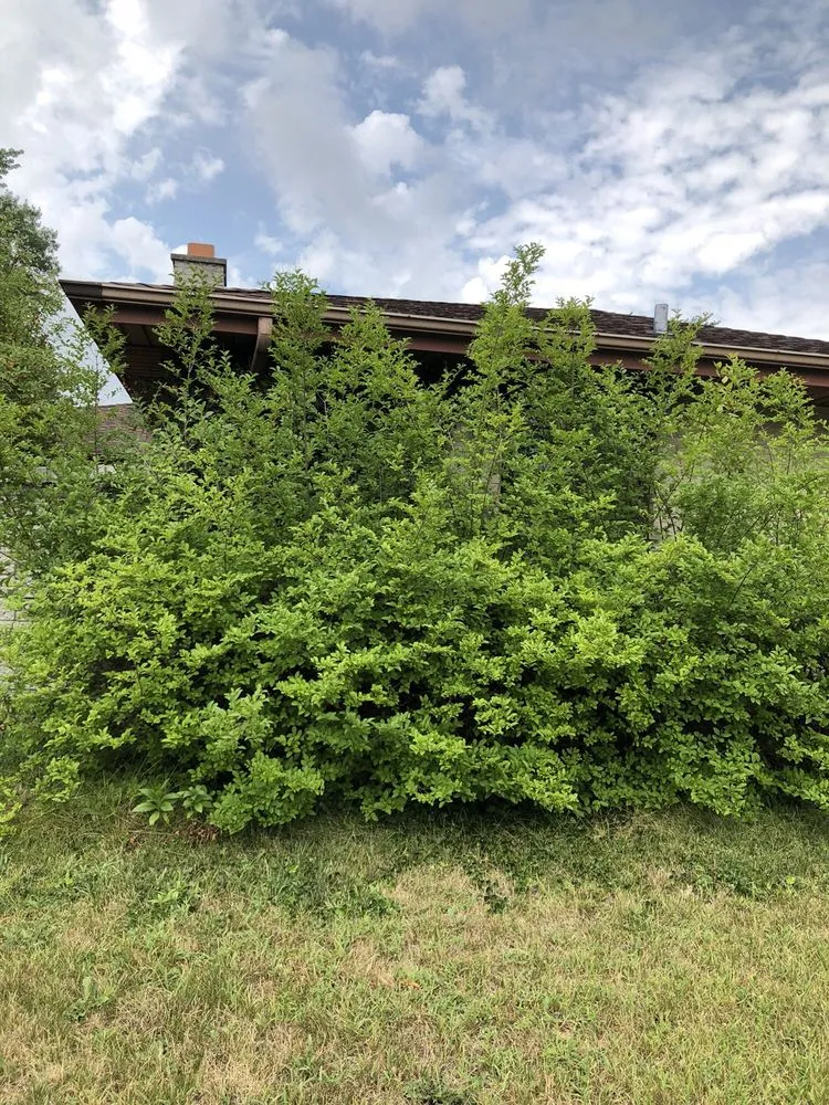 Reliable landscaping services experts serving Wheaton, IL - His Workmanship