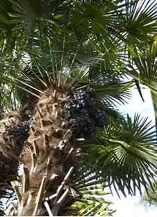 Expert outdoor landscaping with custom design across Wilmington, NC - Hispanics Landscaping Services