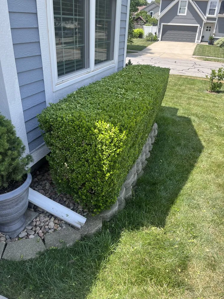 Professional yard maintenance experts serving Lee's Summit, MO - HITE Cultivation