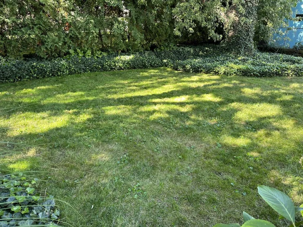 Expert landscape design in Grand Rapids, MI - Hite Landscaping