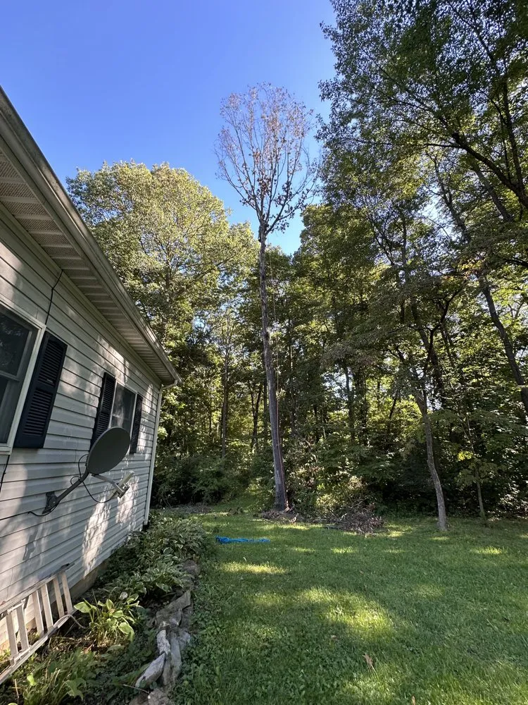 Professional yard cleanup service for residential properties in Winchester, VA by Hite’s Tree & Lawn