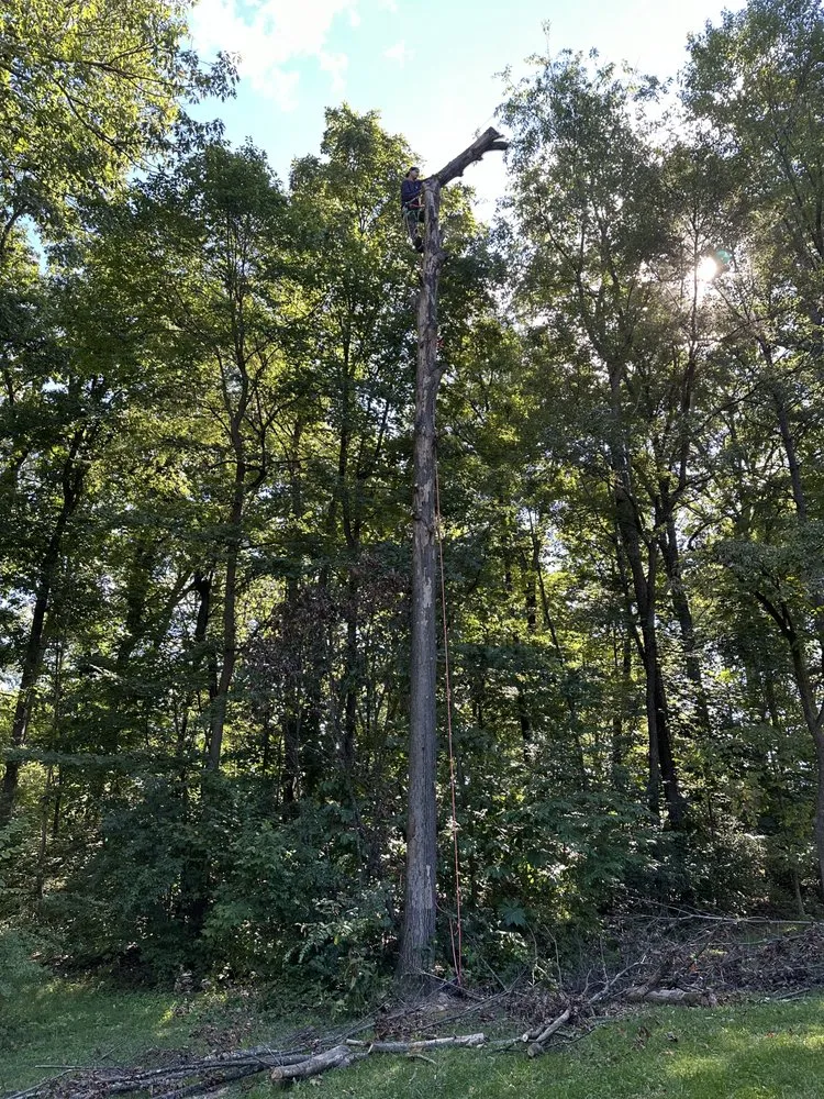 Reliable residential landscaping experts serving Winchester, VA - Hite’s Tree & Lawn