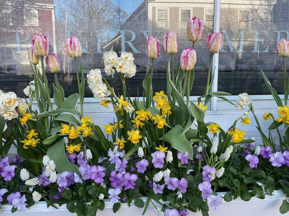 Top-rated yard maintenance near you across Nantucket, MA - Hither Creek Gardener