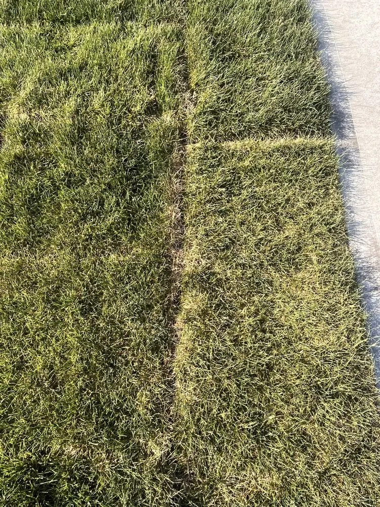 Trusted yard maintenance in Westfield, IN - Hittle Landscaping