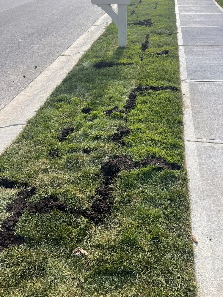 Reliable yard cleanup service for homes across Westfield, IN - Hittle Landscaping