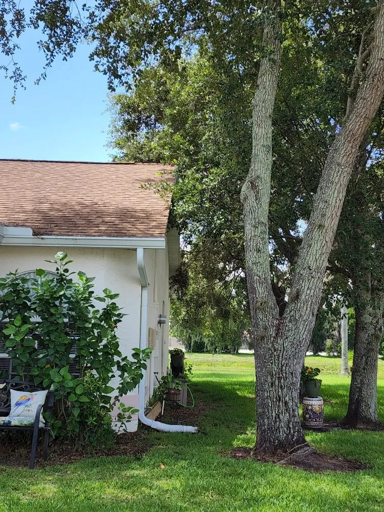 Reliable garden landscaping for outdoor upgrades across Dade City, FL - Hitts Top quality tree and lawn