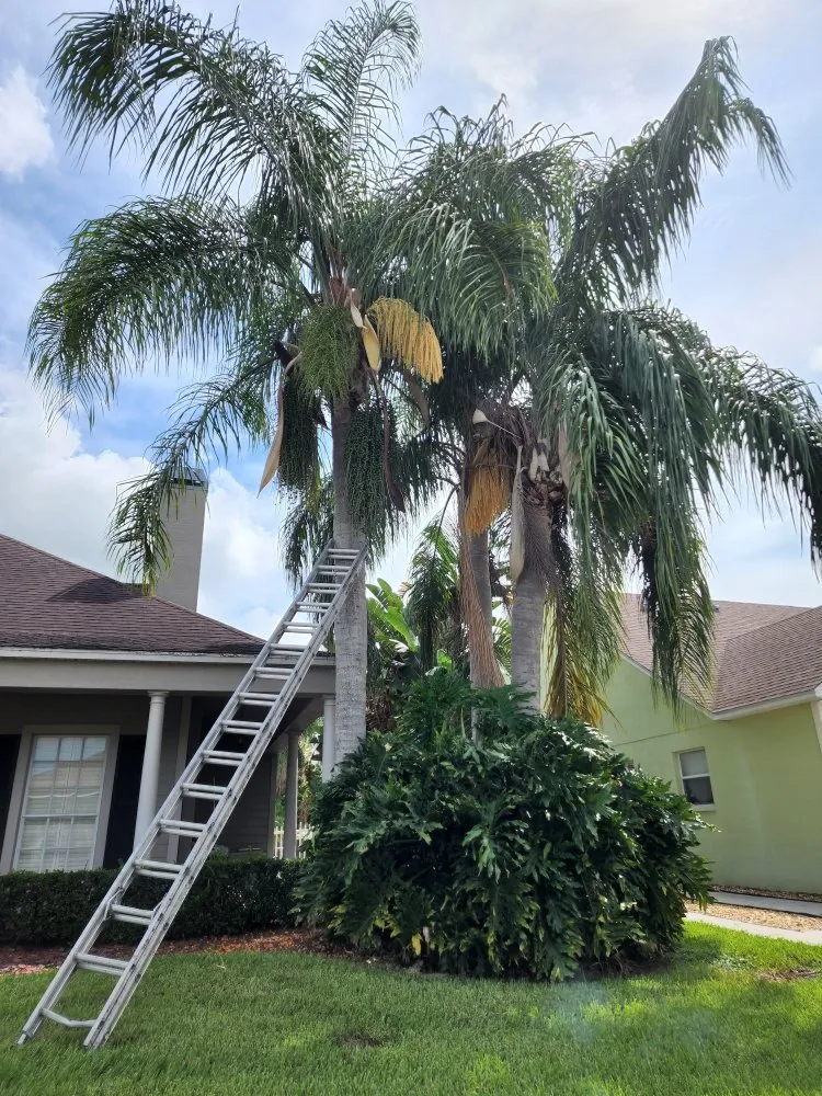 Custom garden landscaping in Dade City, FL by Hitts Top quality tree and lawn