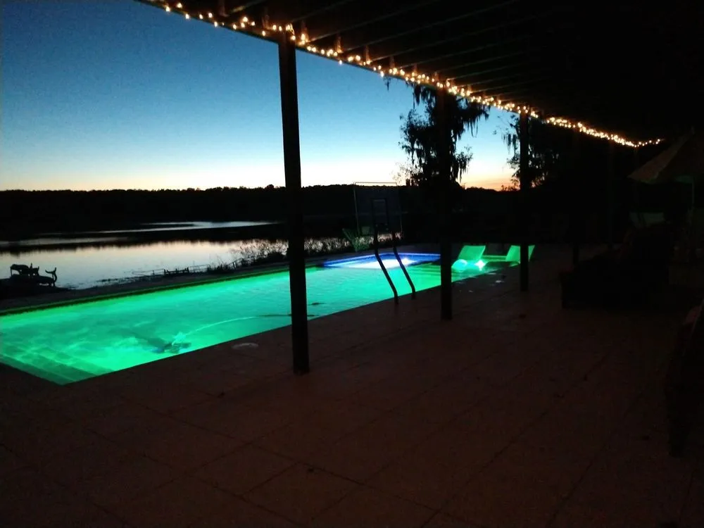 Local landscaping services in Tampa, FL - Hive Outdoor Living