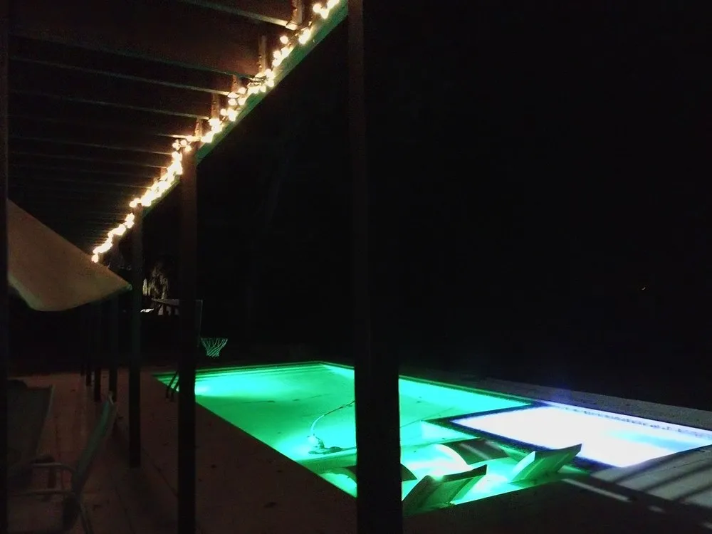 Expert landscaping services for residential properties across Tampa, FL - Hive Outdoor Living