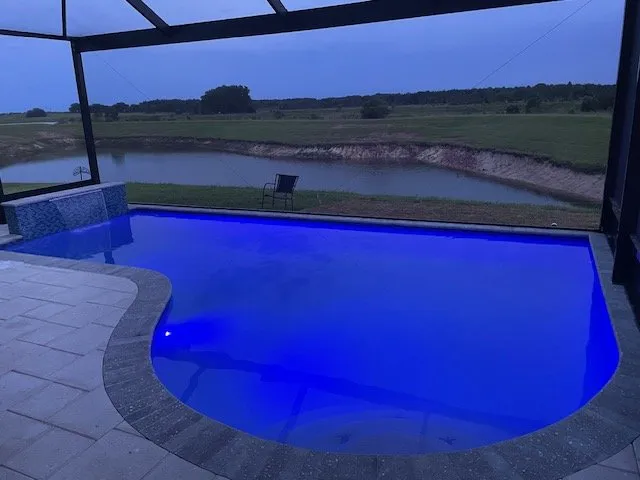 Trusted yard cleanup service experts serving Tampa, FL - Hive Outdoor Living