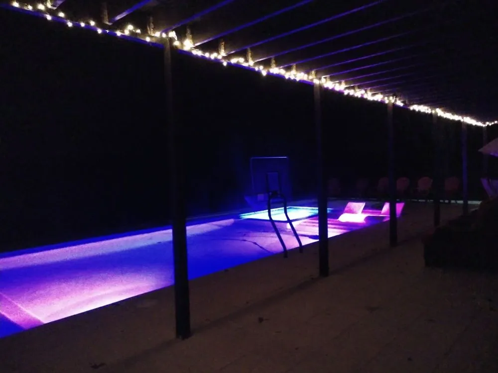 Trusted yard cleanup service for year-round maintenance across Tampa, FL - Hive Outdoor Living