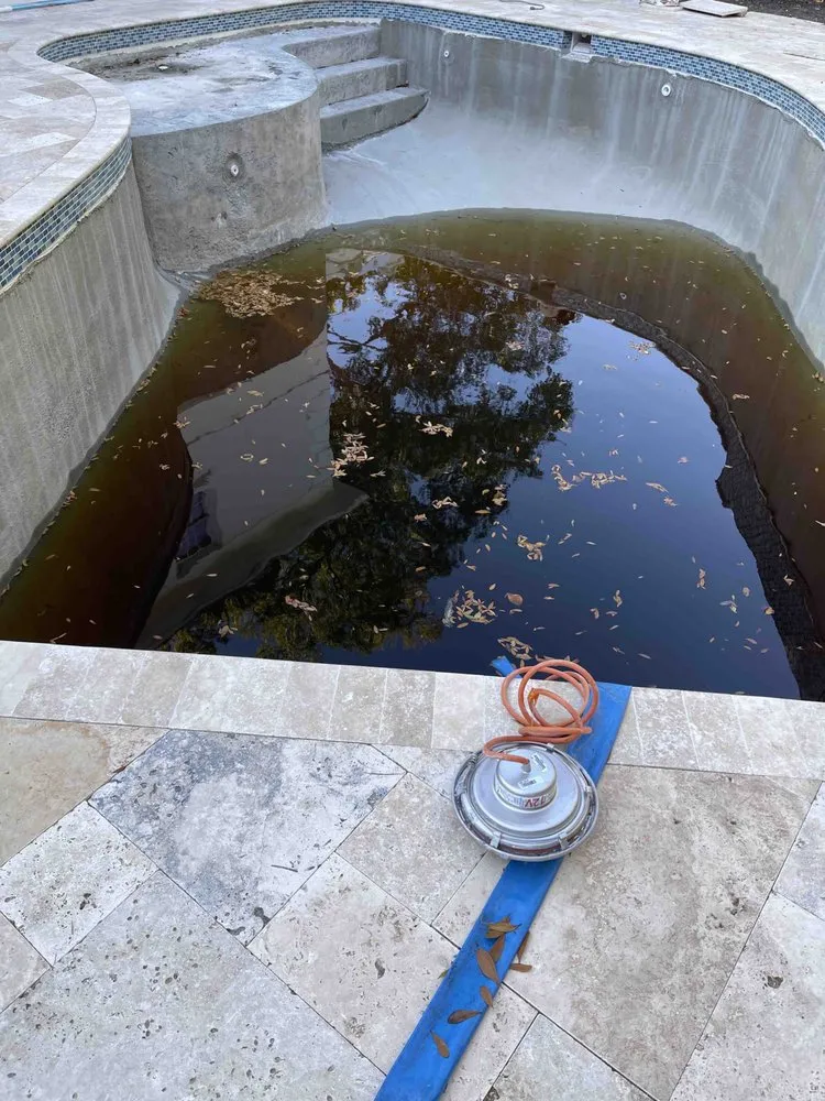 Local garden landscaping in Tampa, FL - Hive Outdoor Living