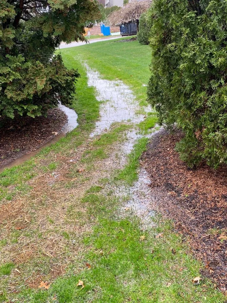 Professional yard cleanup service in Dover, PA - Hively Landscapes