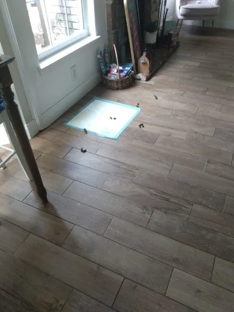 Local lawn care service in Indiantown, FL - Hiz N Herz Landscaping Property Management