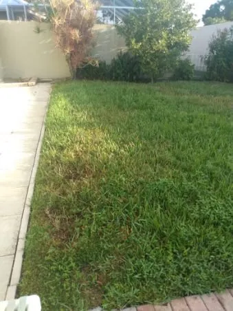 Custom lawn care service experts serving Indiantown, FL - Hiz N Herz Landscaping Property Management