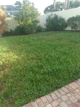 Custom yard maintenance for beautiful yards in Indiantown, FL by Hiz N Herz Landscaping Property Management