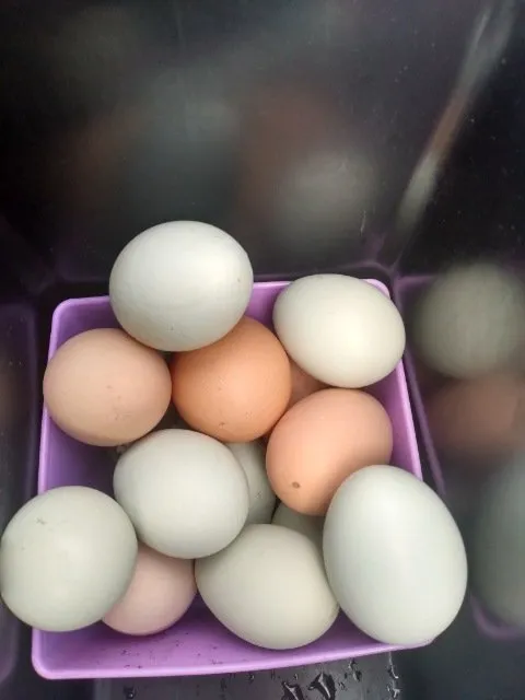 Trusted lawn care service in Indiantown, FL by Hiz N Herz Landscaping Property Management