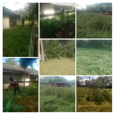 Hiz N Herz Landscaping Property Management