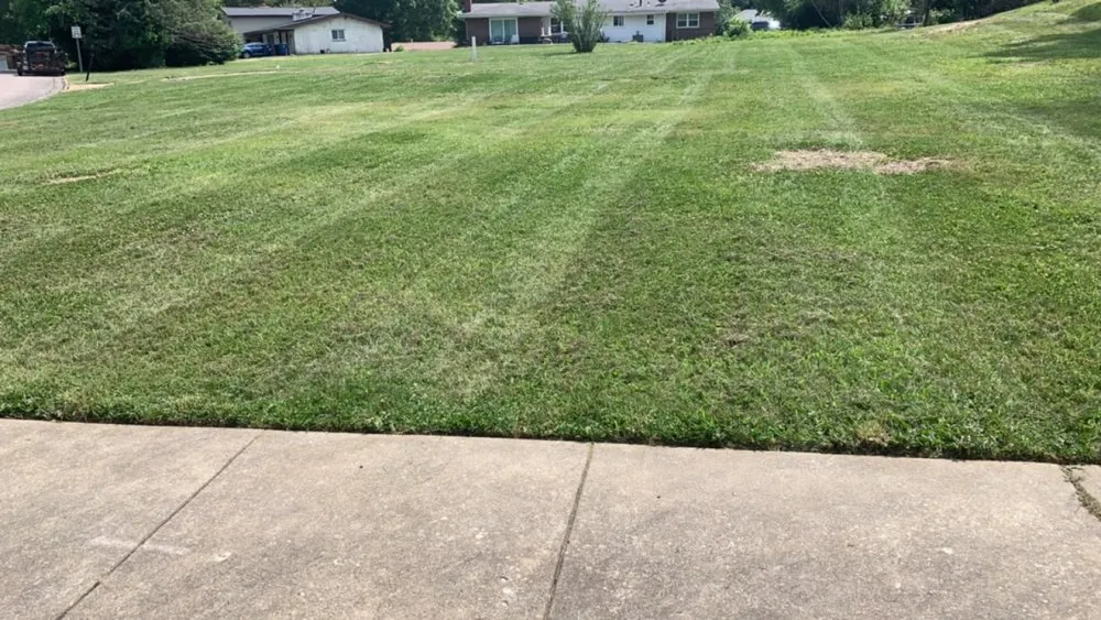 Local landscaping services near you across Florissant, MO - Hiz Wit A Touch Of Herz