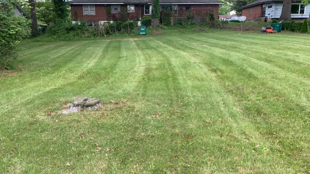 Affordable landscaping services for year-round maintenance in Florissant, MO by Hiz Wit A Touch Of Herz