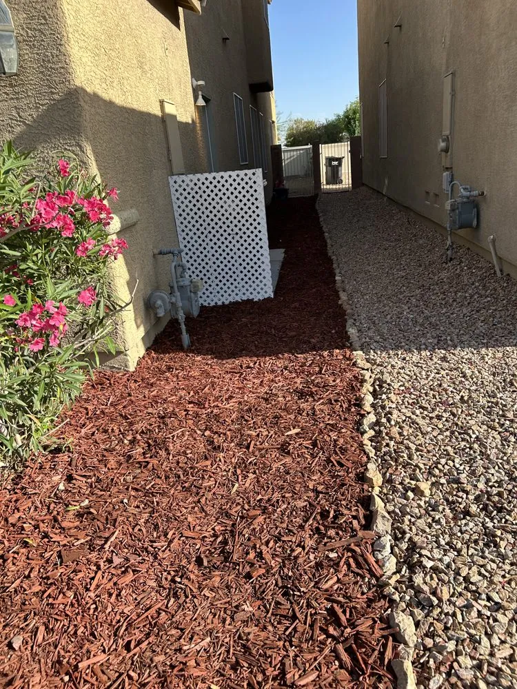 Expert yard cleanup service for year-round maintenance across Las Vegas, NV - H&J Cleaning service