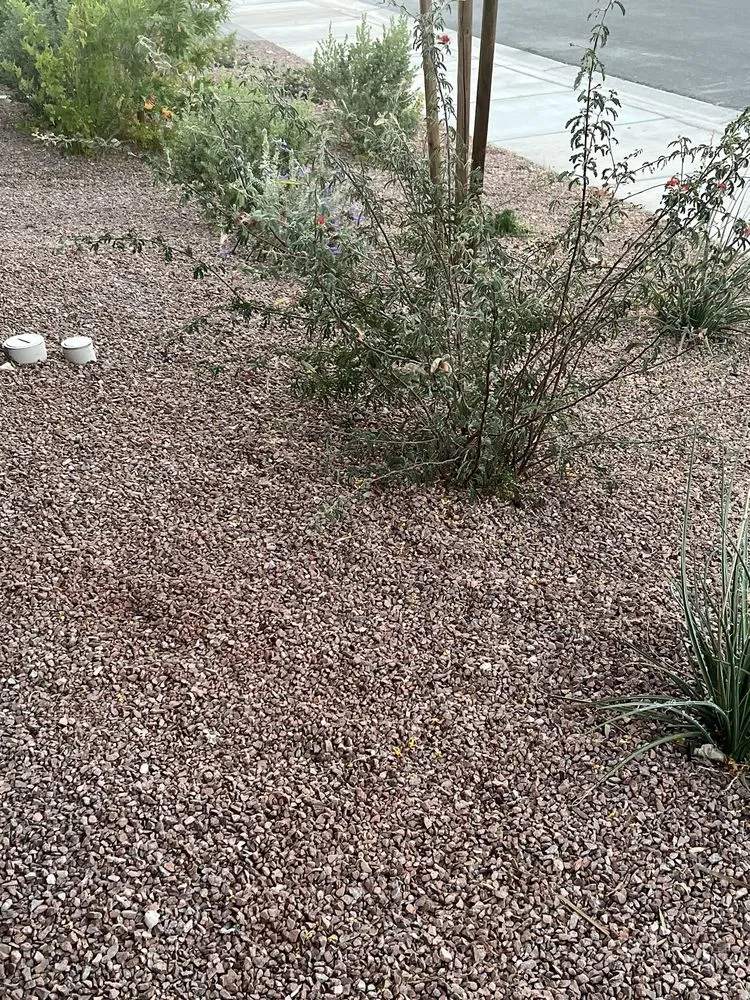 Local yard cleanup service in Las Vegas, NV - H&J Cleaning service