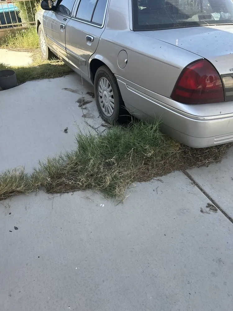 Affordable lawn care service in Las Vegas, NV - H&J Cleaning service