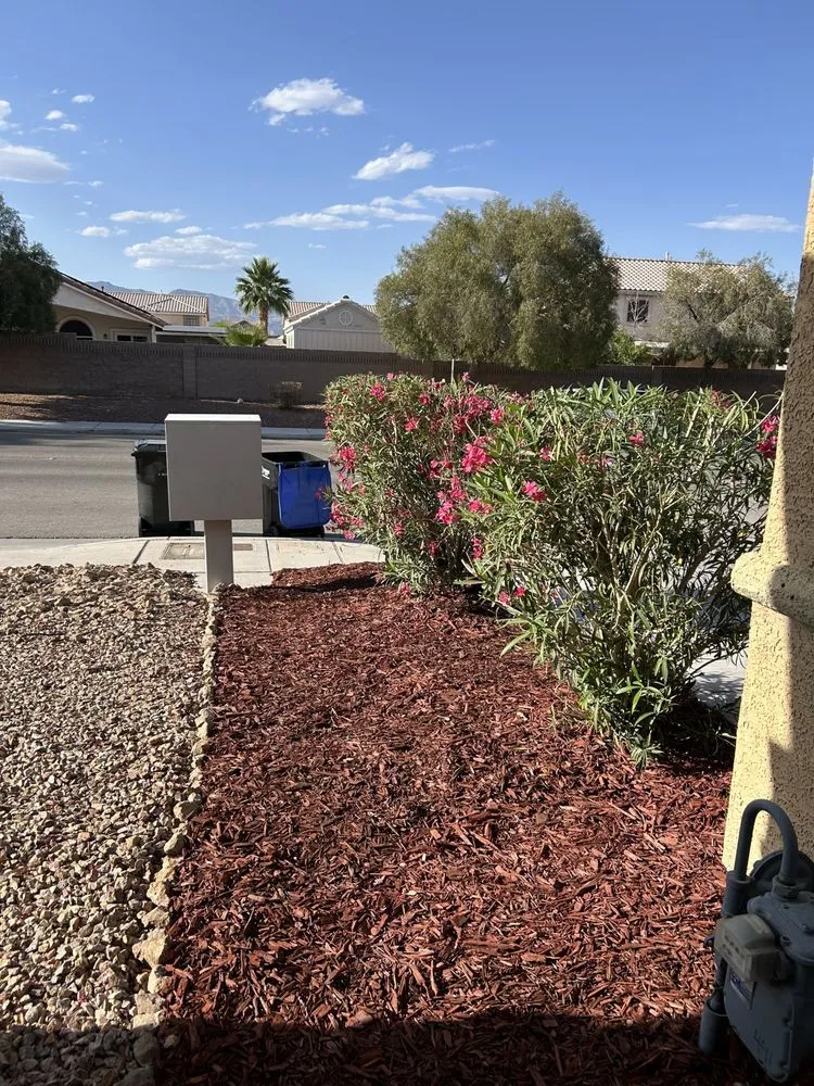 Reliable residential landscaping experts serving Las Vegas, NV - H&J Cleaning service