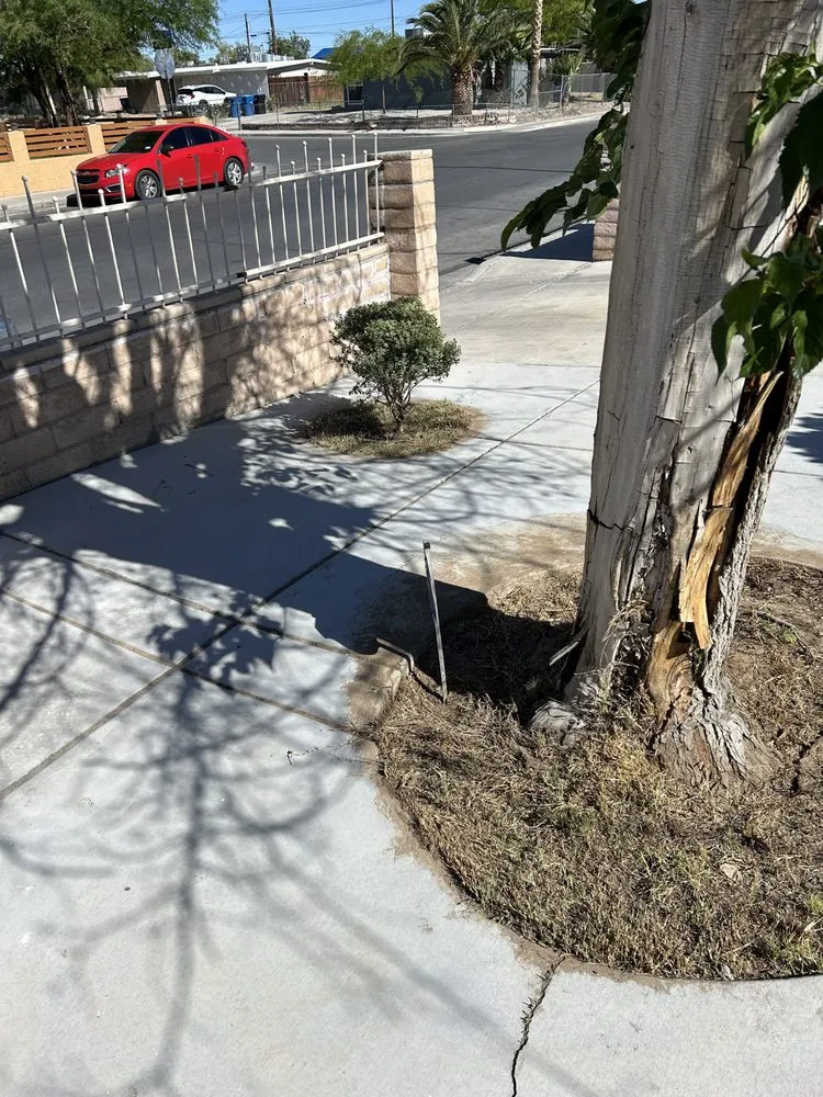 Reliable yard maintenance in Las Vegas, NV - H&J Cleaning service