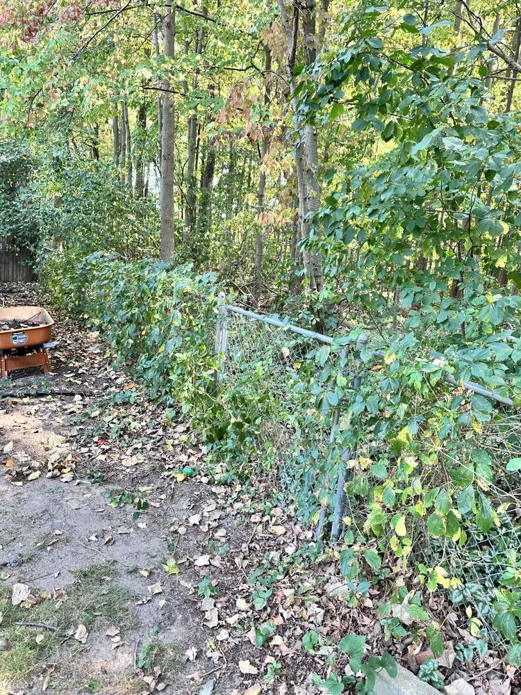 Expert yard maintenance experts serving Saginaw, MI - HJ Contracting