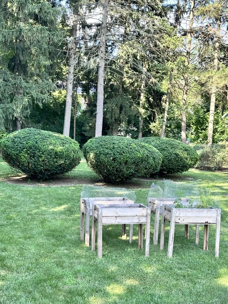 Reliable landscaping services experts serving Saginaw, MI - HJ Contracting